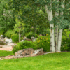 Outdoors