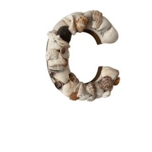 The Letter C In Seashells