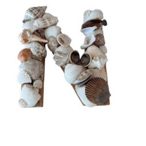 Letter N In Seashells