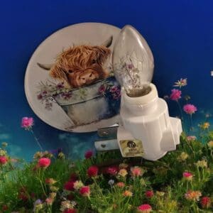 Adorable Highland Cow In A Bucket Nightlight