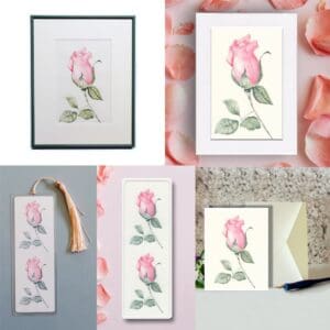Delicate Pink Rose Bud Limited Edition Watercolor Fine Art Gift Set