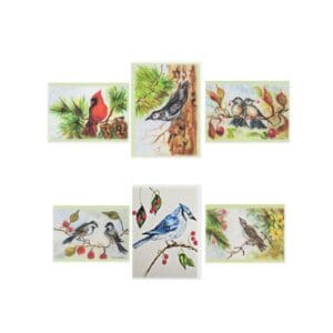 Backyard Birds 3 Watercolor Nature Art Note Card Boxed Set Of 6 Assorted Designs Clearance Limited Stock