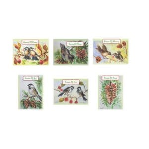 Backyard Birds Set B Watercolor Art Note Card Boxed Set Of 6 Assorted Designs Clearance Limited Stock