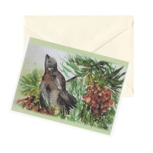 Backyard Birds Set C Watercolor Art Note Card Boxed Set Of 6 Assorted Designs Clearance Limited Stock