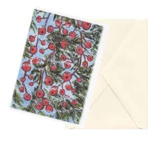 Conifer Berries 2 Nature Art Note Card Boxed Set Of 6 One Design Clearance Limited Stock