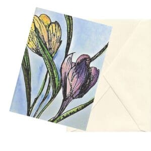 Crocus Wave Watercolor Floral Art Note Card Boxed Set Of 6 One Design Clearance