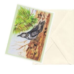 Downy Woodpecker Watercolor Art Note Card Boxed Set Of 6 One Design Clearance Limited Stock
