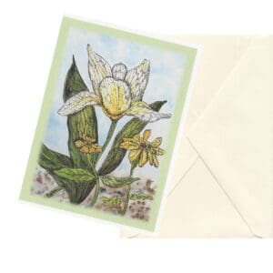 Dutch Tulip Watercolor Floral Art Note Card Boxed Set Of 6 One Design Clearance