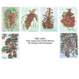 Pine Cones And Conifer Berries Art Note Card Boxed Set Of 6 Assorted Designs Clearance Limited Stock
