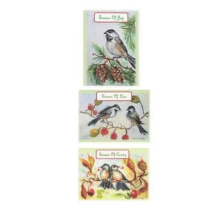 Retro Season Of 2 Watercolor Art Note Card Boxed Set Of 6 Cards 3 Designs Clearance Limited Stock