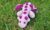 Small Crochet Dragon Plush – Pink Mini Amigurumi Dragon