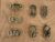 Brass Adult Fidgets
