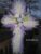 Stunning Handmade Lilac and White Cross Wreath