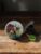 Gorgeous Horse by Red Barn Car Vent Clip