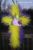 Beautiful Handmade Yellow and Purple Cross Wreath
