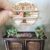 Exquisite Dollhouse Miniature Shiplap Tree Shelf