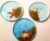 Sensational Sea Life Drink Coaster Set with Blue Resin Sand and Gold Glitter