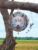 Magnificent Multicolored White Wolf Wind Spinner
